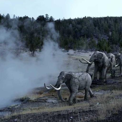 The use of smoke in ice age landscape