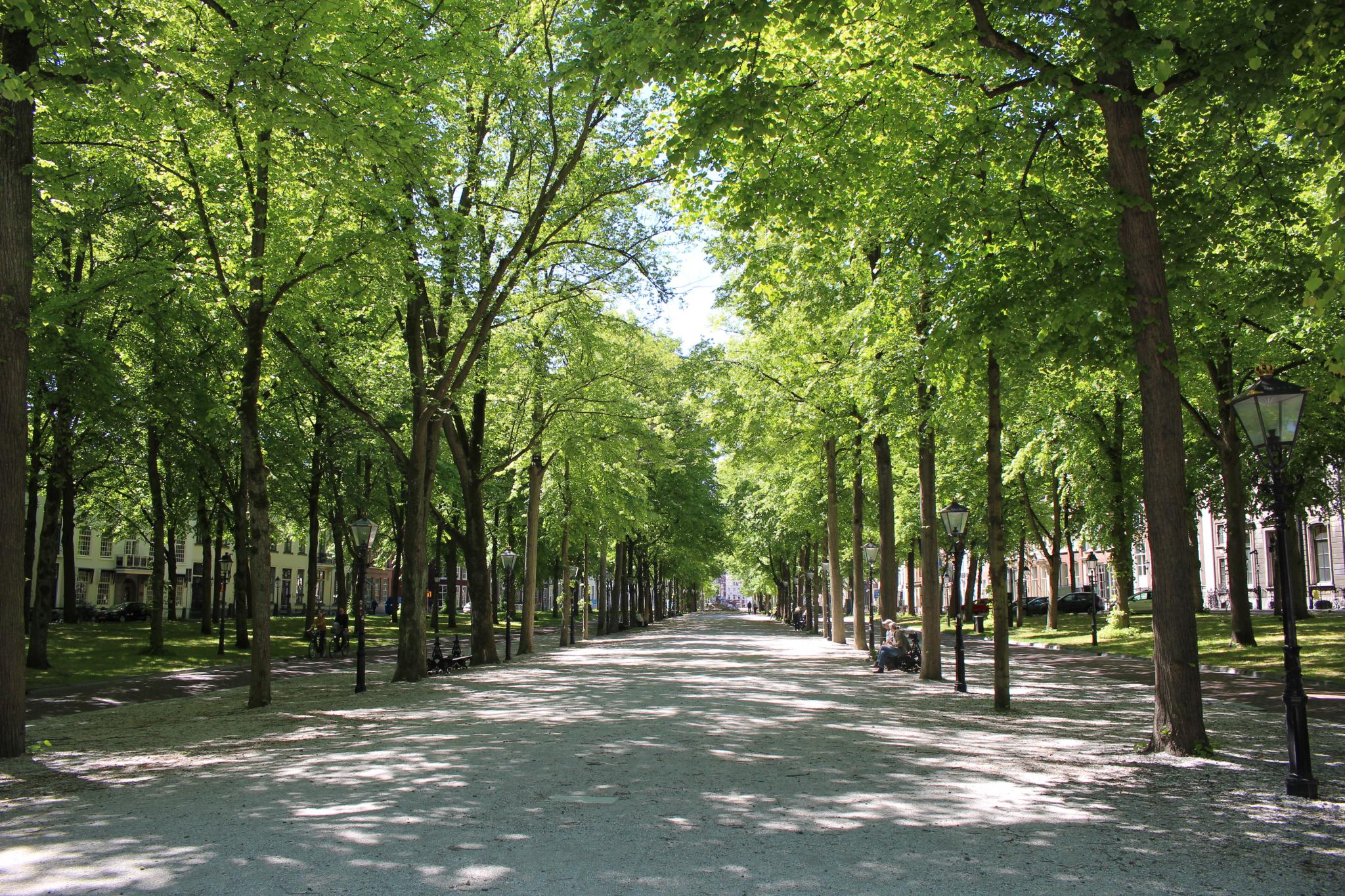 Lange Voorhout