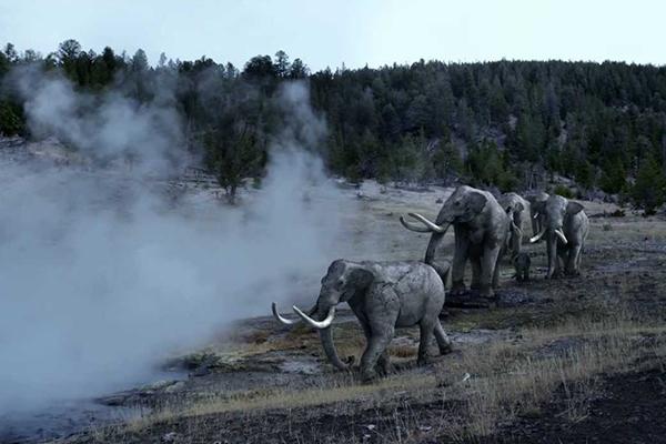 Reconstruction of a fire in a semi-open landscape.