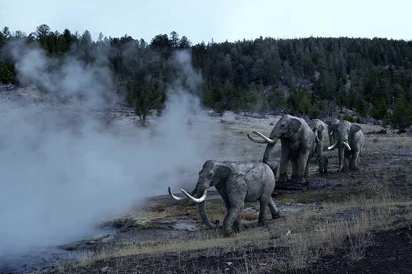 Reconstruction of a fire in a semi-open landscape. 