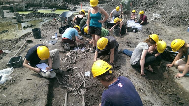 Excavation