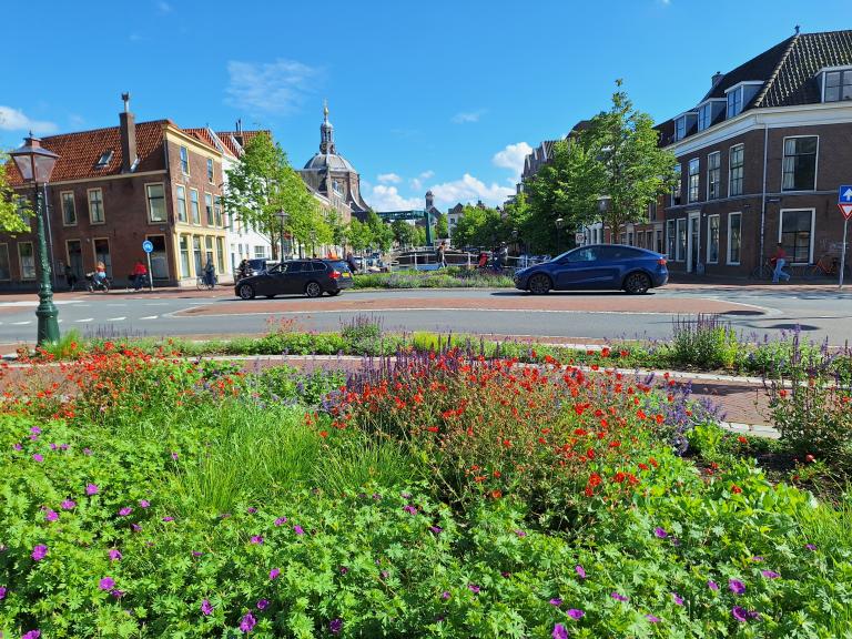 leiden greening city centre 