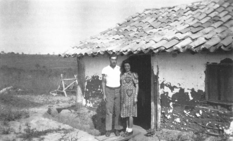 Dutch migrants in Brazil