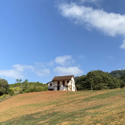 Dutch heritage Brazil